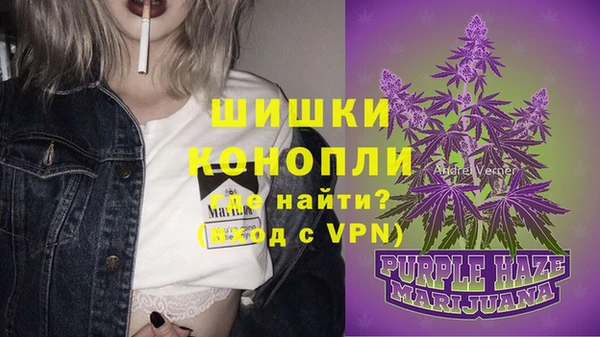 первитин Новозыбков
