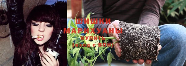 первитин Новозыбков