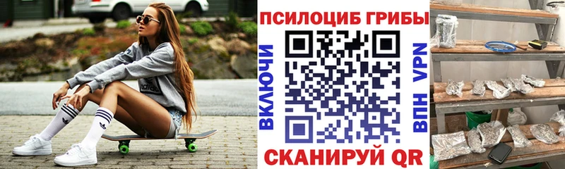 закладки Власиха Псилоцибиновые грибы Psilocybine cubensis